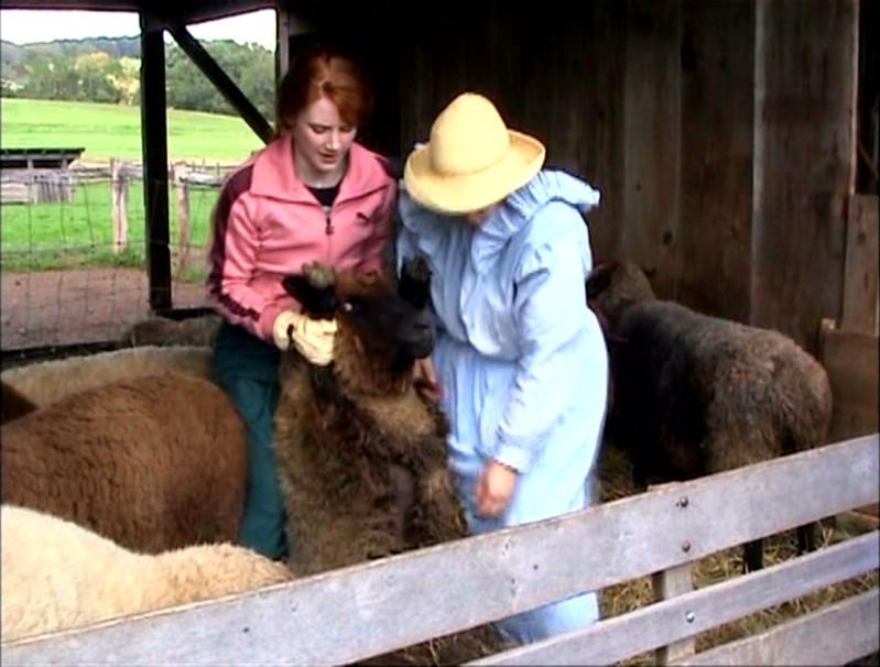 PDVD_117.jpg PDVD_117.jpg