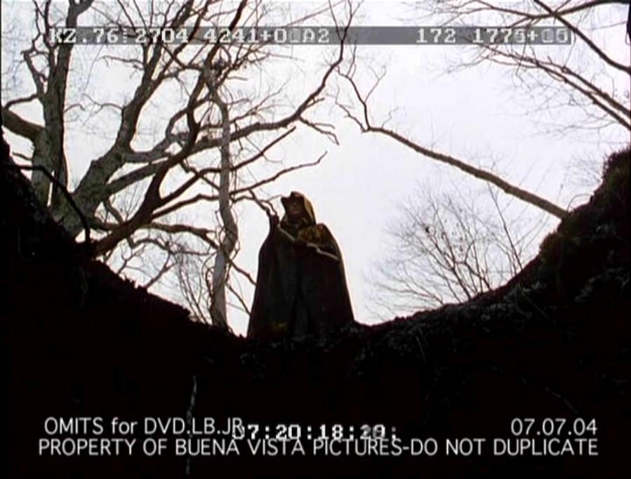 PDVD_008.jpg