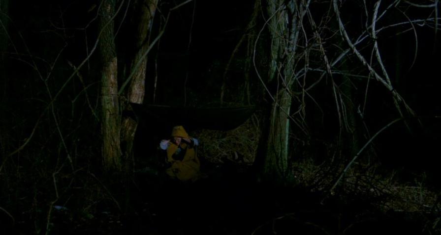 PDVD_390.jpg