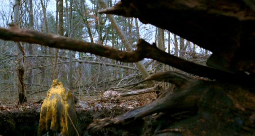 PDVD_396.jpg
