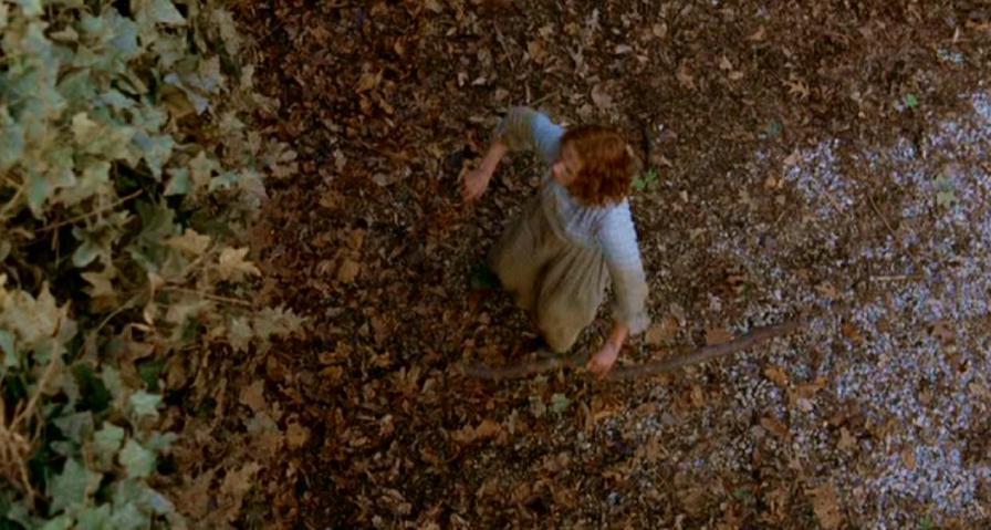 PDVD_498.jpg