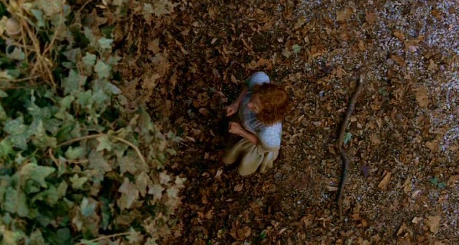 PDVD_502.jpg