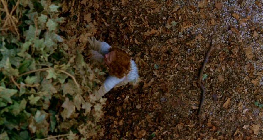 PDVD_503.jpg