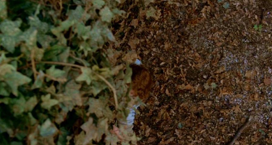 PDVD_504.jpg