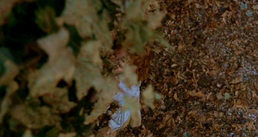 PDVD_505.jpg