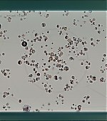 Filename=BlackMirror_2876529.jpg
Filesize=116KiB
Dimensions=1920x1016
Date added=Jun 20, 2021 BlackMirror_2876529.jpg